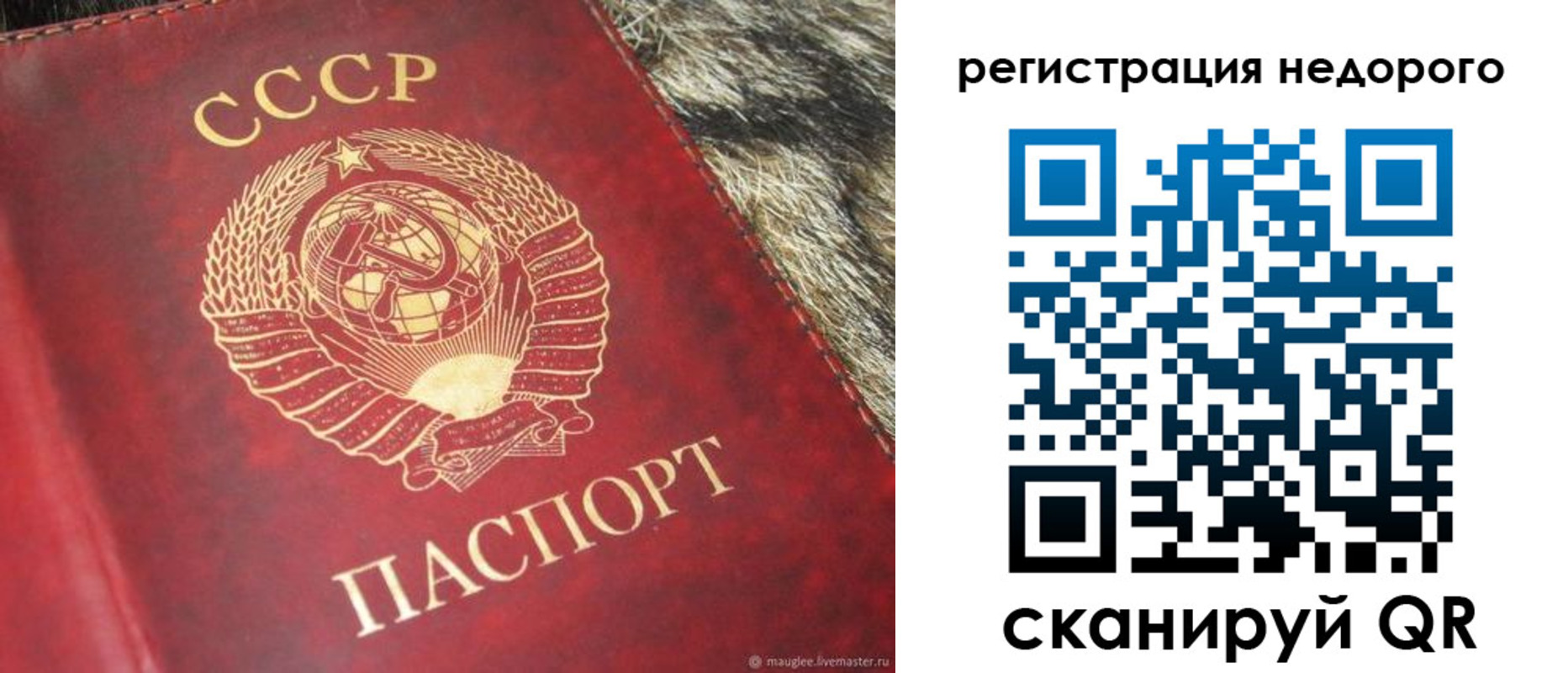 прописка ребенка в Кстово